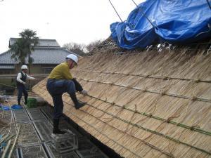 茨城県　行方市商工会 （なめがたししょうこうかい）-23-1295569572_218