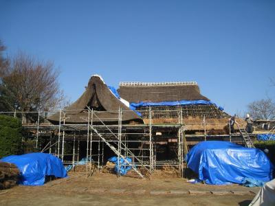 茨城県　行方市商工会 （なめがたししょうこうかい）-1292834904_8