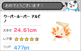☆ツインテールズ公式ブログ☆