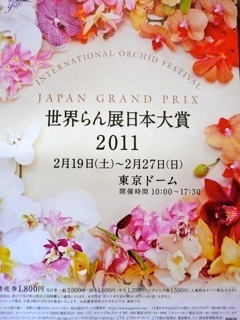 窪田千紘・ビジュアルパワー（旧雑誌に公開されない素敵なインテリアのヒント）