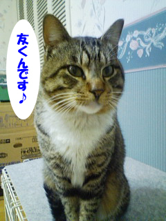 3丁目こたま日記