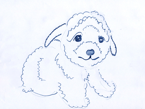 ブリーダー直販子犬出産情報！