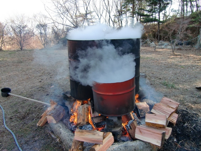 天邪鬼Mutchが観ている いわき-舞茸01