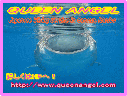 Cancun Diving with Queen Angel 〜カンクン ダイビング〜