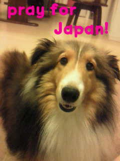 $berry berry good!-image0001.jpg