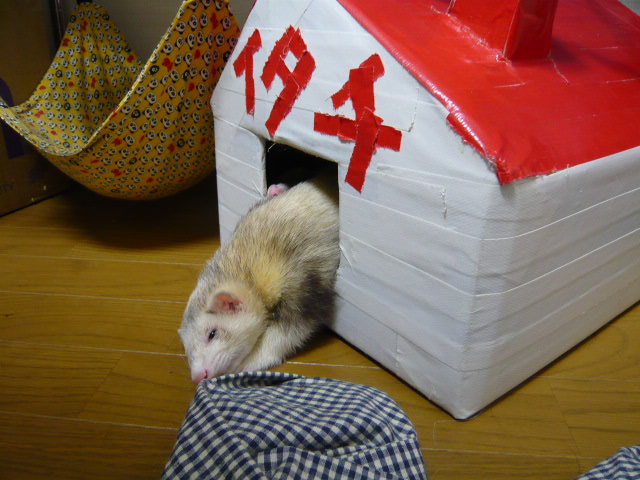 夢のマイホーム