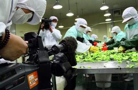 中国：キャベツを緊急輸出
