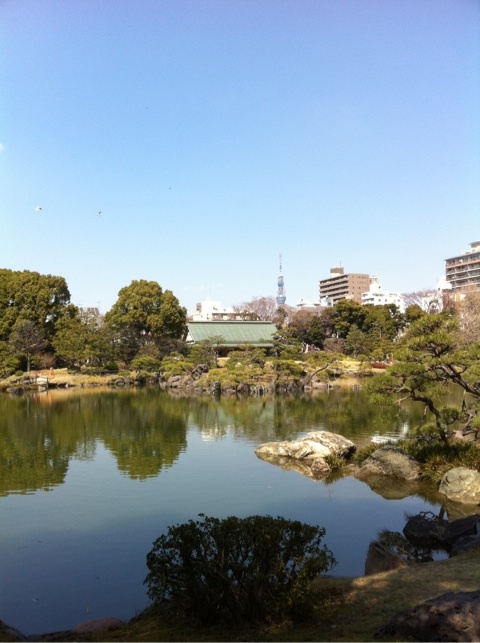 photo:01