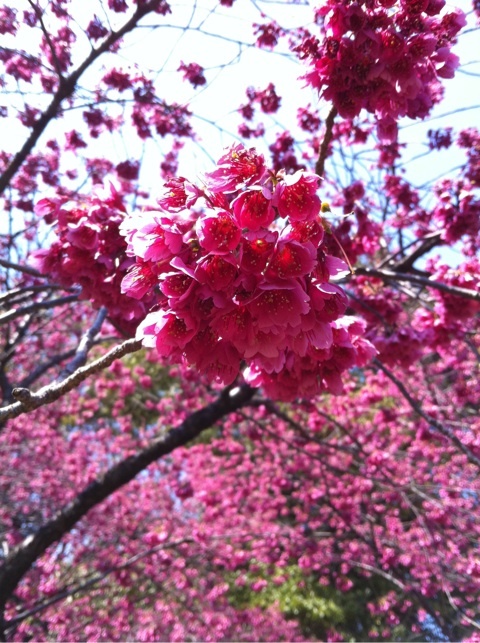 photo:03