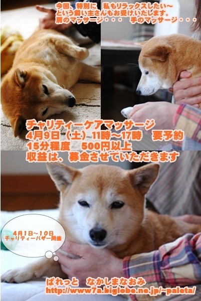 みんなきれいになりました。
