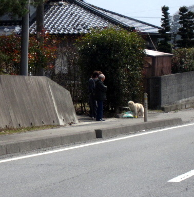 わんこのいる空間  アンディとべりーからのメッセージ