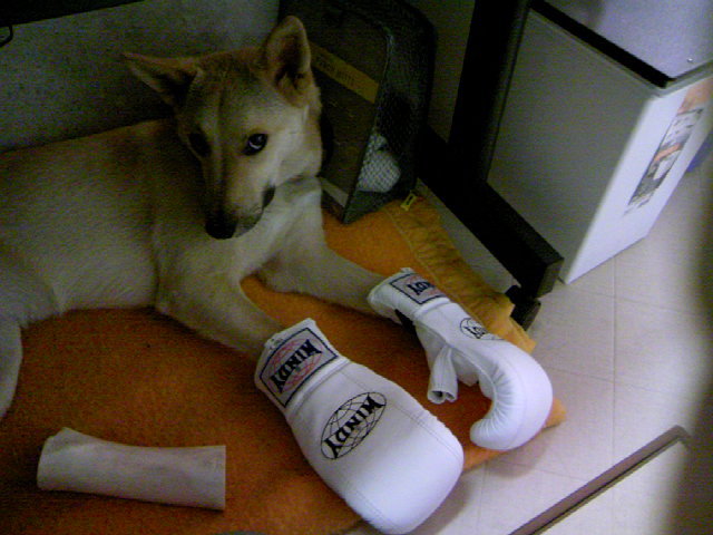 イラストの真相は・・・。