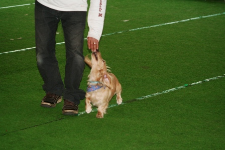 Punaheleとずっと一緒