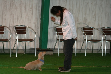 Punaheleとずっと一緒