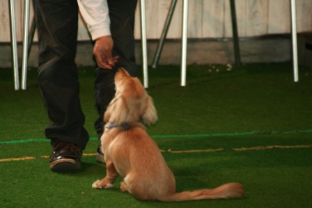 Punaheleとずっと一緒