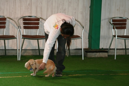 Punaheleとずっと一緒