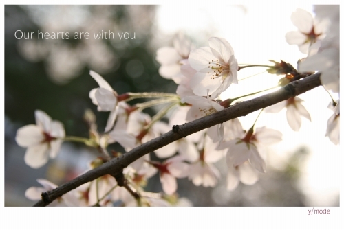 おいしく、楽しく、美しく!