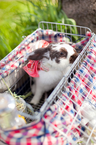 リサガスのブログ