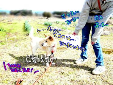 ぽてちてぷー　～（こぎ×こぎ）＋ぽめ～