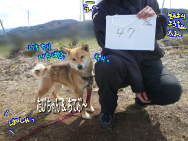 ぽてちてぷー　～（こぎ×こぎ）＋ぽめ～