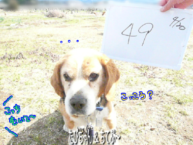ぽてちてぷー　～（こぎ×こぎ）＋ぽめ～