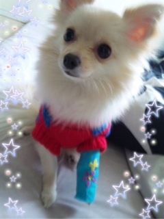 ★Ｍｅll☆Ｓtｙlｅ★