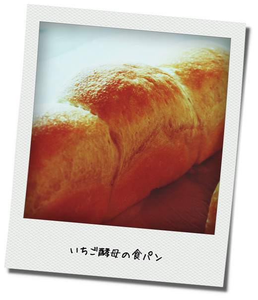 フード・ドクターくりちゃんの食は育！