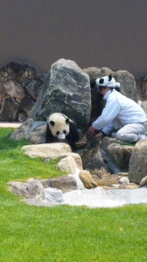 こんにちは★大人気のシャンティネイルです★