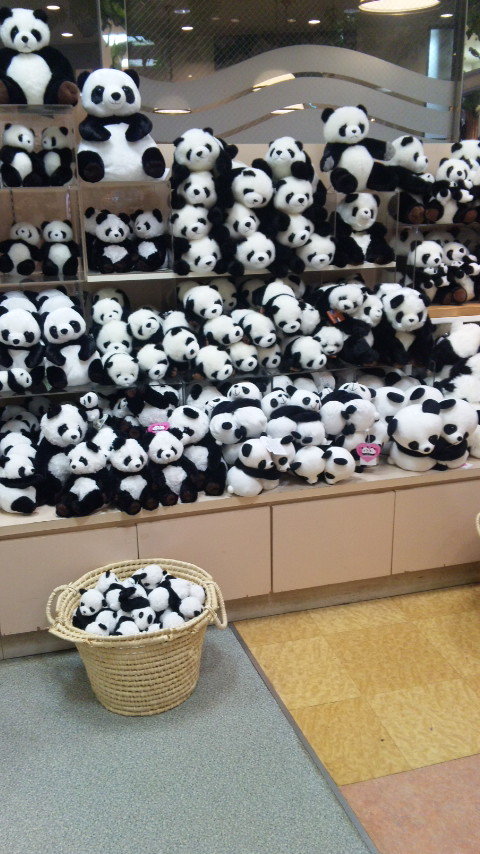 こんにちは★大人気のシャンティネイルです★