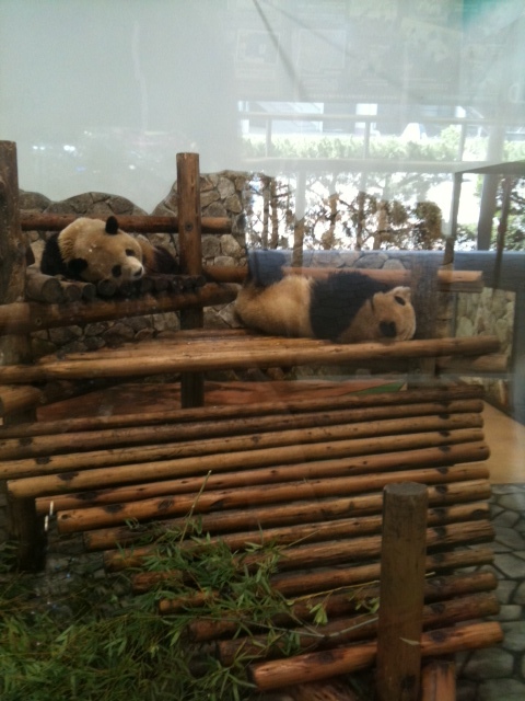 こんにちは★大人気のシャンティネイルです★