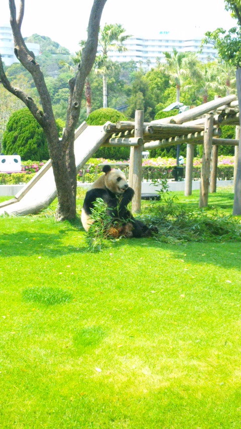 こんにちは★大人気のシャンティネイルです★