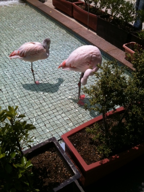 こんにちは★大人気のシャンティネイルです★