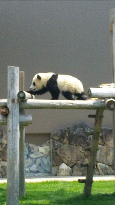 こんにちは★大人気のシャンティネイルです★