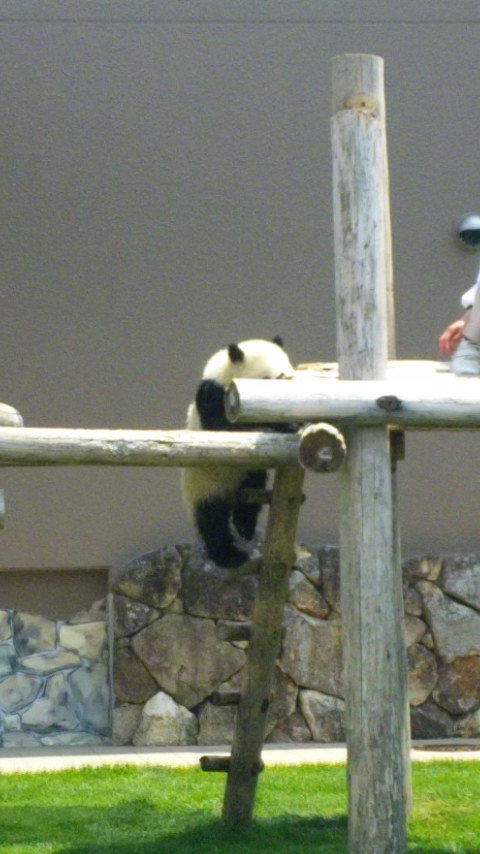 こんにちは★大人気のシャンティネイルです★