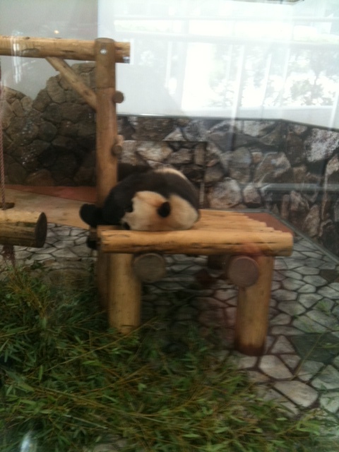 こんにちは★大人気のシャンティネイルです★