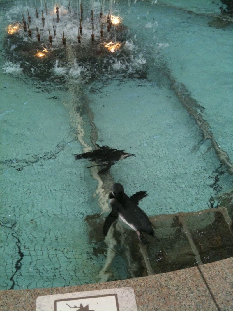 こんにちは★大人気のシャンティネイルです★