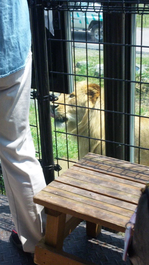 こんにちは★大人気のシャンティネイルです★