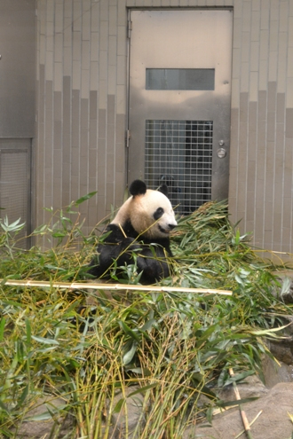 オーダーキッチンではじまるここちよい暮らし-オーダーキッチン