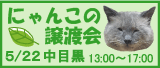 黒猫ミイ日記-522