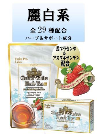 スタッフブログ