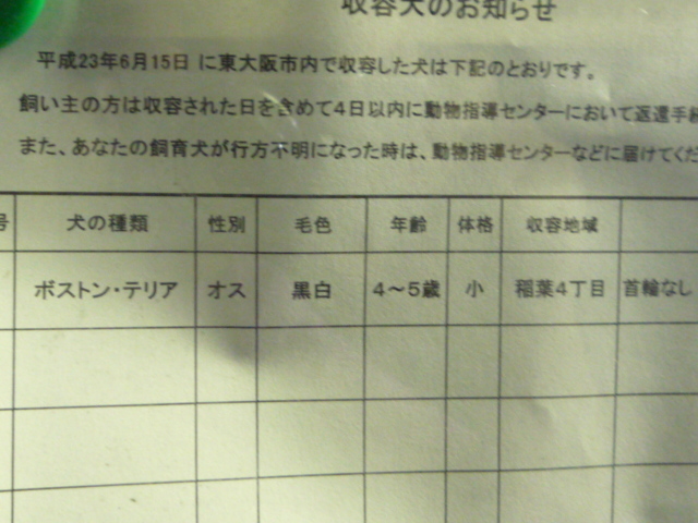 至急　６月１５日（水曜日）東大阪市動物指導センター公示あり