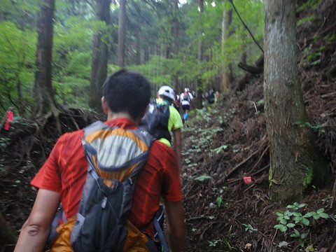 多摩川マラソン日記