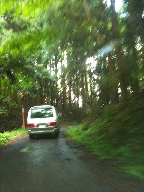 photo:05