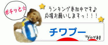 にほんブログ村 犬ブログ チワプーへ