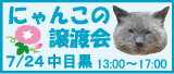 浦安「キャットシッターME(ミイ)」ただいま開業準備中-724