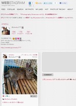 WEBStagram