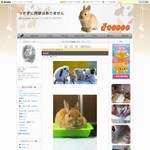 うさぎに肉球はありません