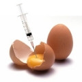 インフルエンザのワクチンは卵を使って作られる