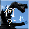 デジかめら