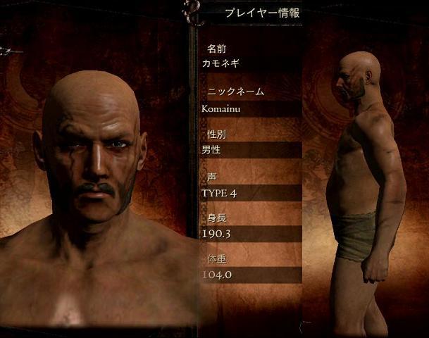 体験版キャラエディット グリフォン戦 ドラゴンズドグマ 鴨ネギ うぃずっ子の日々 ブルプロ攻略ブログにいつかなる 体験版キャラエディット グリフォン戦 ドラゴンズドグマ 鴨ネギ うぃずっ子の日々 ブルプロ攻略ブログにいつかなる